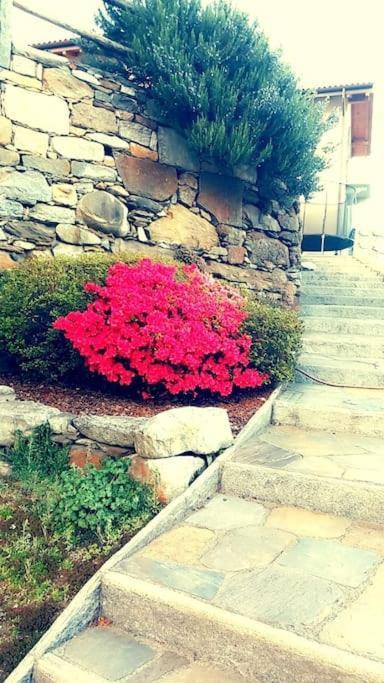 Casa Neva Daire Cannobio Dış mekan fotoğraf